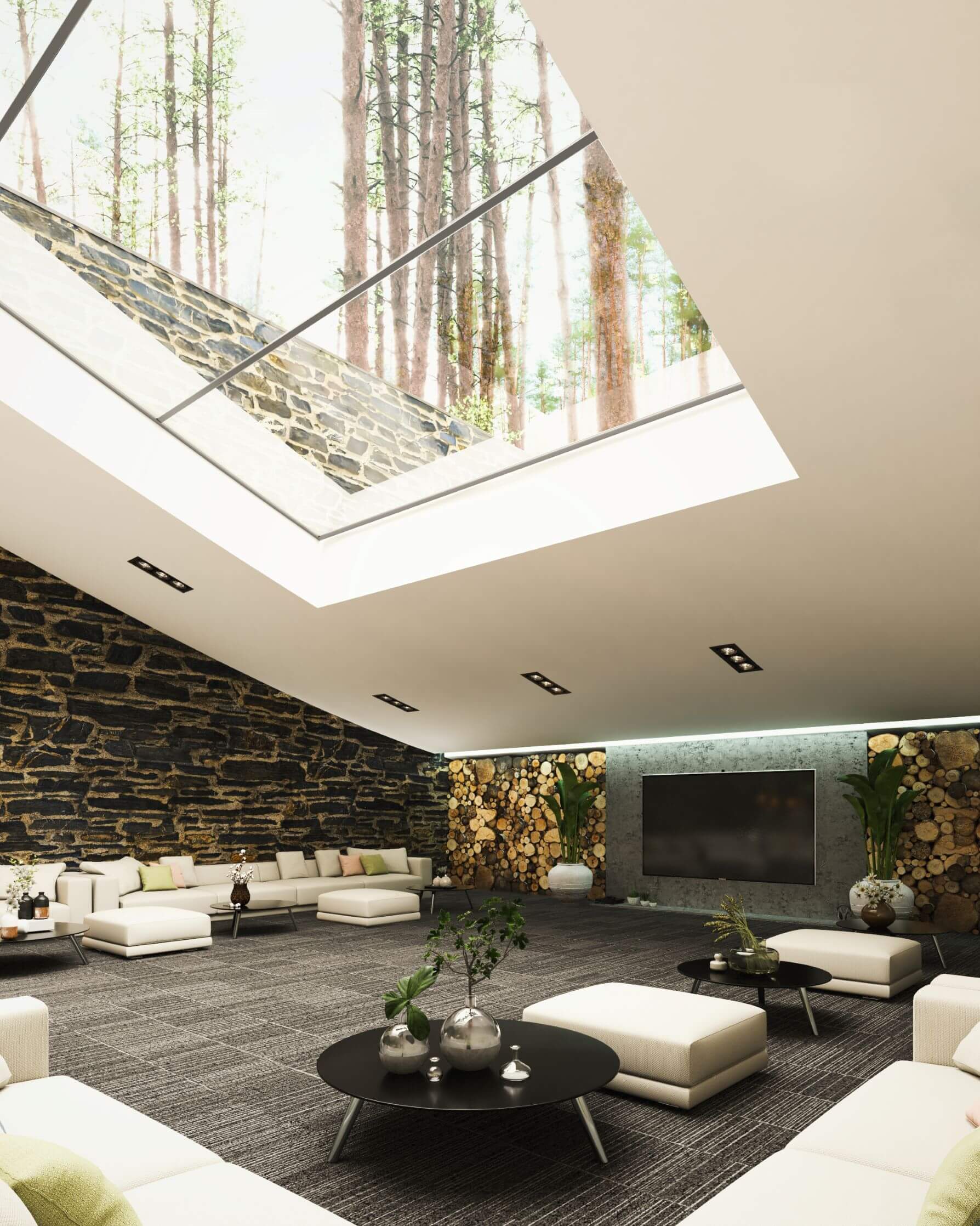 skylight roof